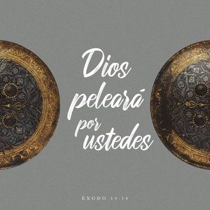 Meet your Posher, Jesus daniel